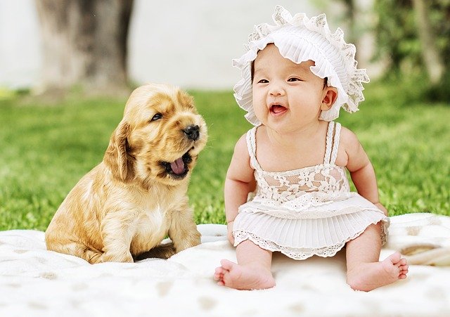 子犬と赤ちゃんが笑顔で並んで座っている