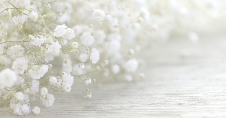 テーブルに乗ったかすみそう
